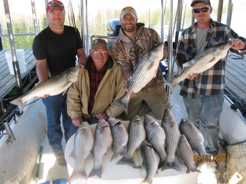 Nice Striped Bass
